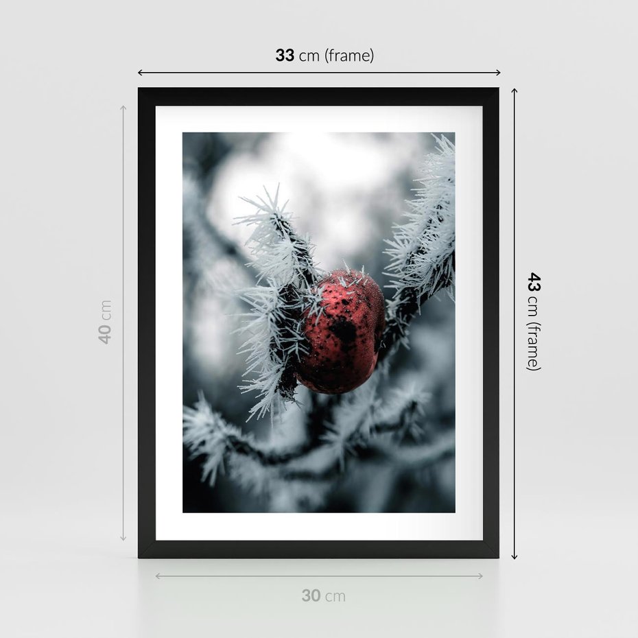 Plakat w ramie 30x40 - Chwila Zimowego Uroku - zima, ośnieżona gałązka - rama czarna