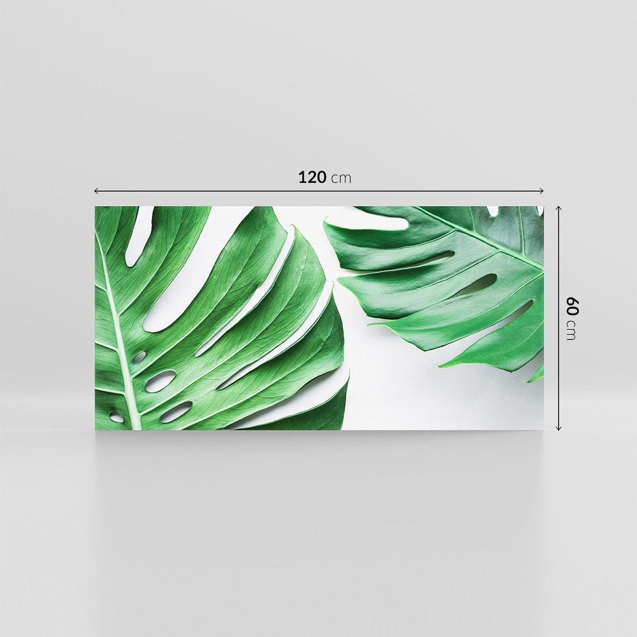 Obraz na płótnie 120x60 - Monstera - Liście Kwiaty - monstera, liście