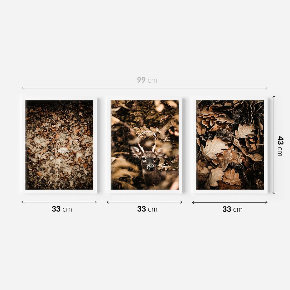 Zestaw obrazy w ramie 30x40 galeria - Las, jesień, jeleń - rama biała
