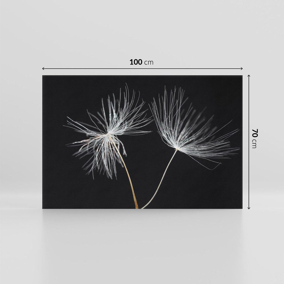 Obraz na płótnie 100x70 - Delikatność Wiatru - dmuchawce, makro