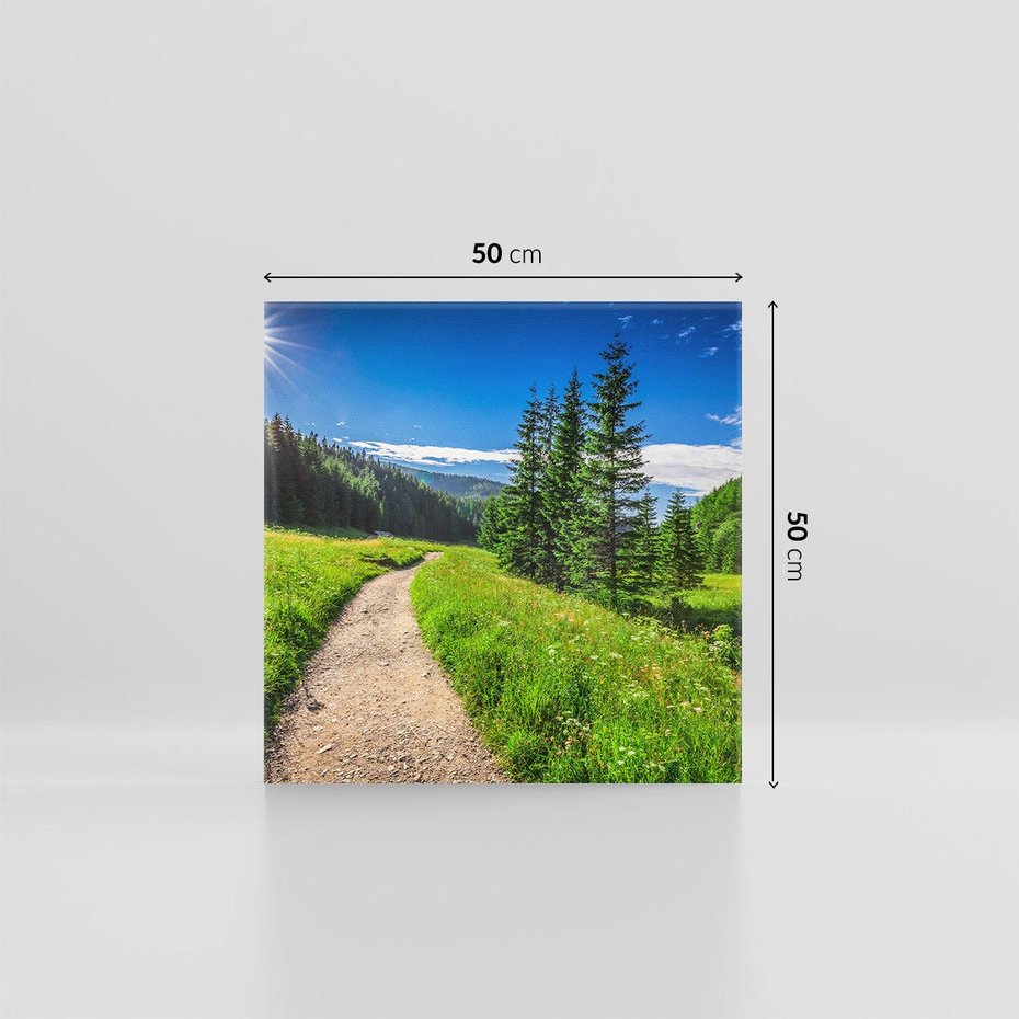 Obraz na płótnie 50x50 - Harmonia natury - góry, łąka