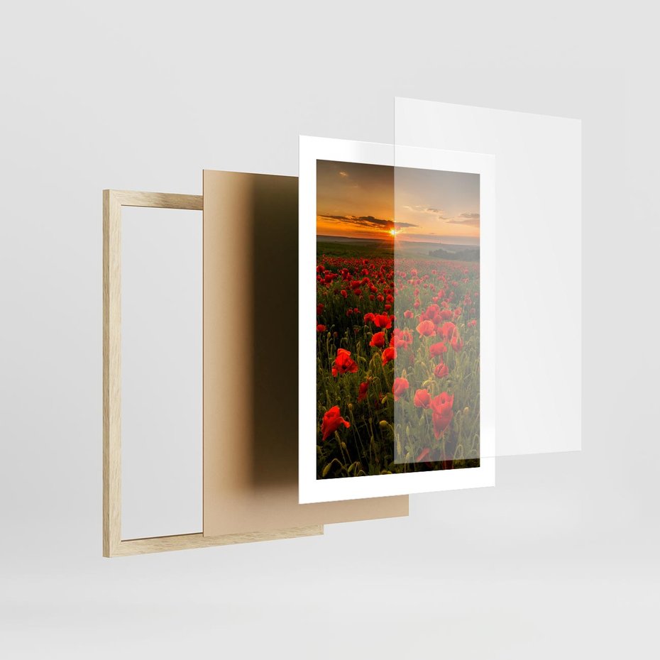 Plakat w ramie 30x40 - Maki przy zachodzie słońca - maki, zachód - rama drewno
