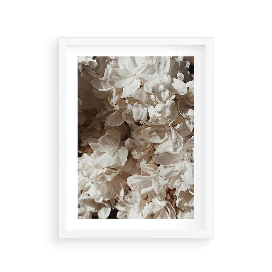 Plakat w ramie 30x40 - Płatki w Detalu - białe kwiaty, zbliżenie - rama biała