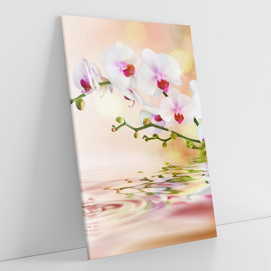 Obraz na płótnie 80x120 - Elegancja orchidei - orchidea, kwiaty