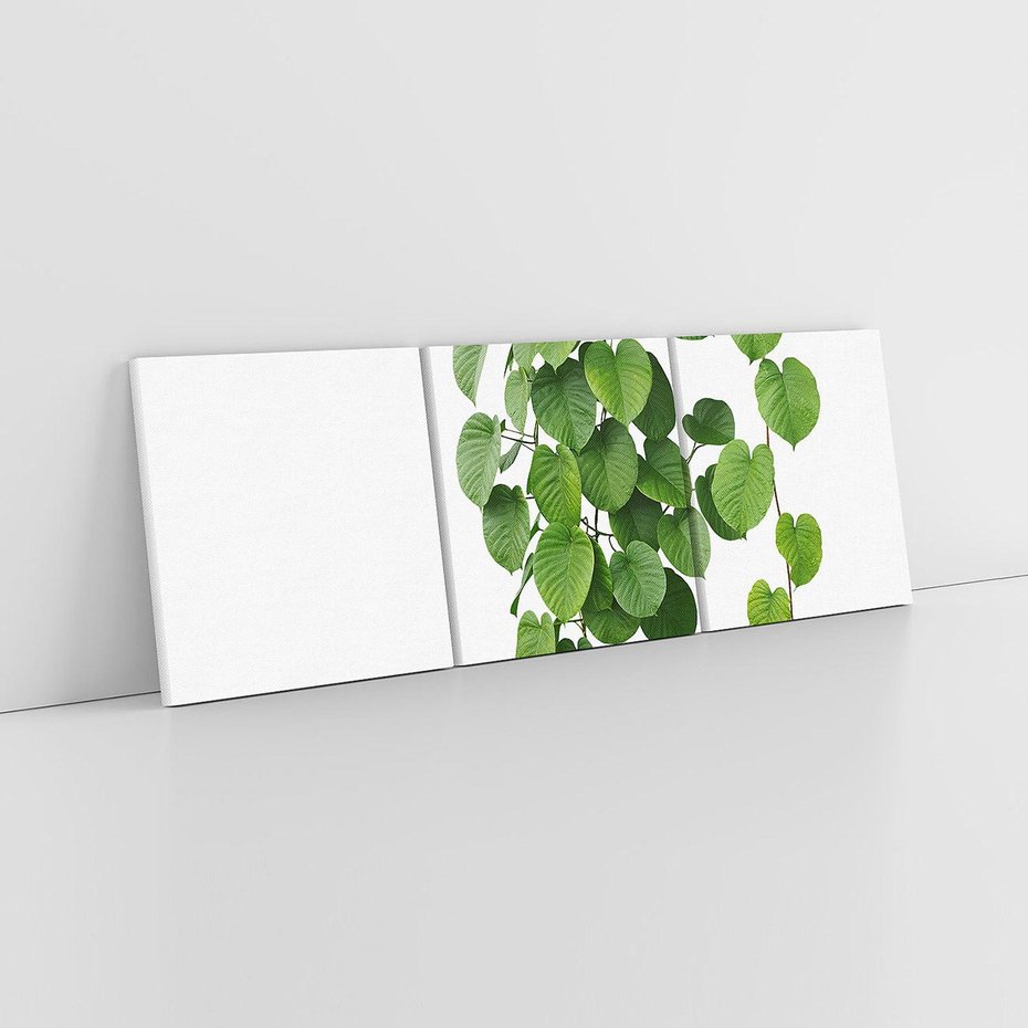 Obraz na płótnie 150x50 - Świeżość Natury - liście, zielone