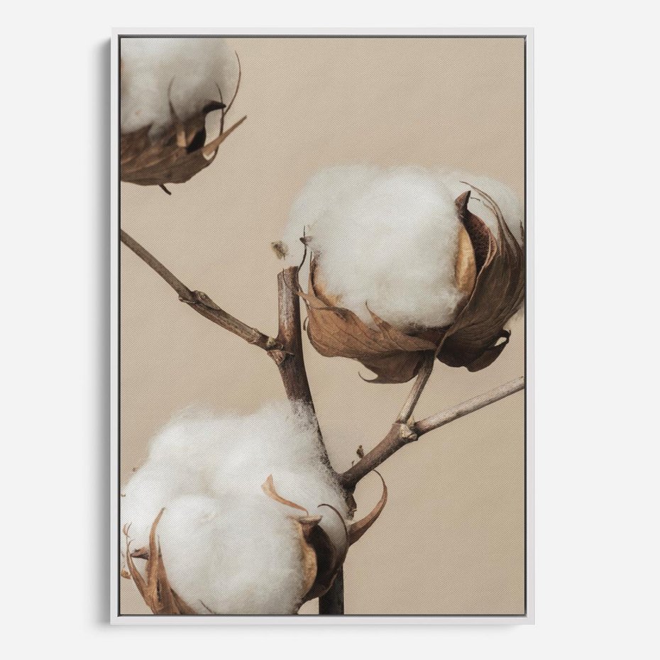 Obraz w ramie 80x120 - Bawełniana melancholia - bawełna, suche - rama biała