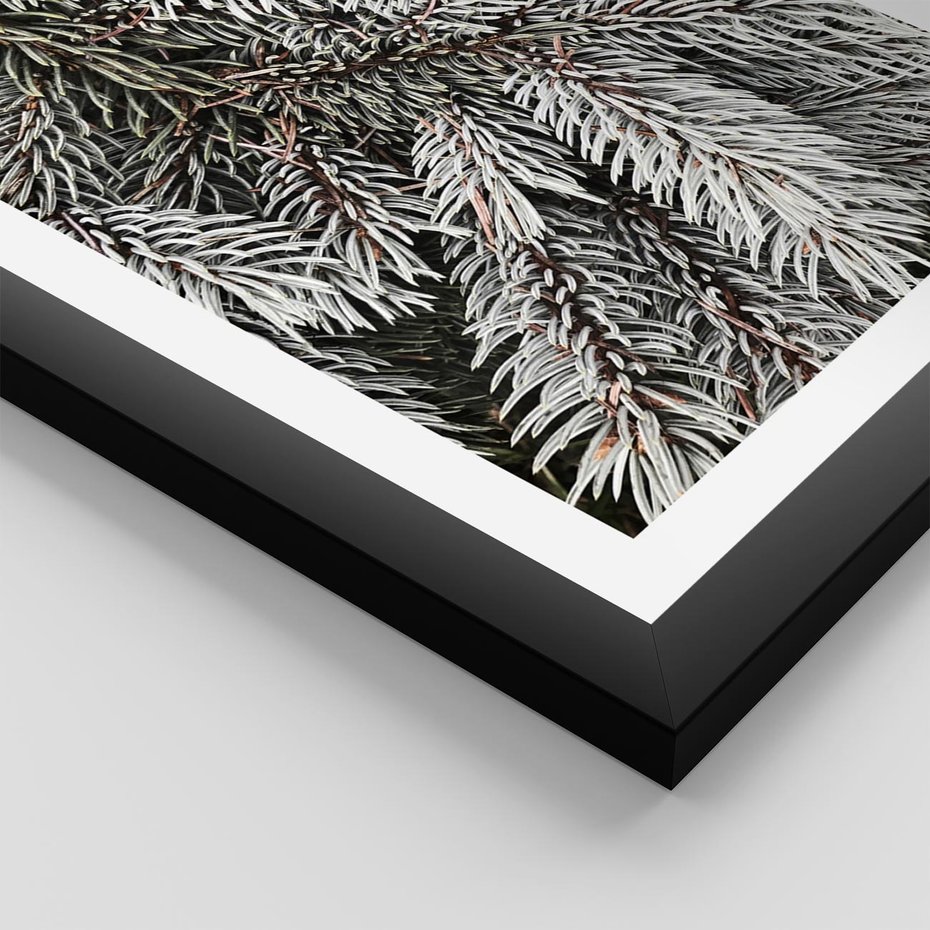 Plakat w ramie 40x50 - Cisza Zimowej Natury - zima, iglaste gałązki - rama czarna