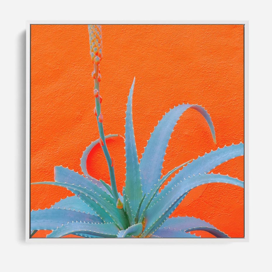 Obraz w ramie 80x80 - Naturalna Harmonia - kaktusy, liście - rama biała