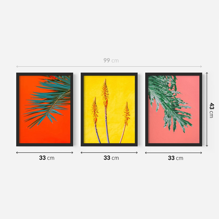 Zestaw obrazy w ramie 30x40 galeria - Rośliny, liście, kolorowe, energetyczne, tło - rama czarna