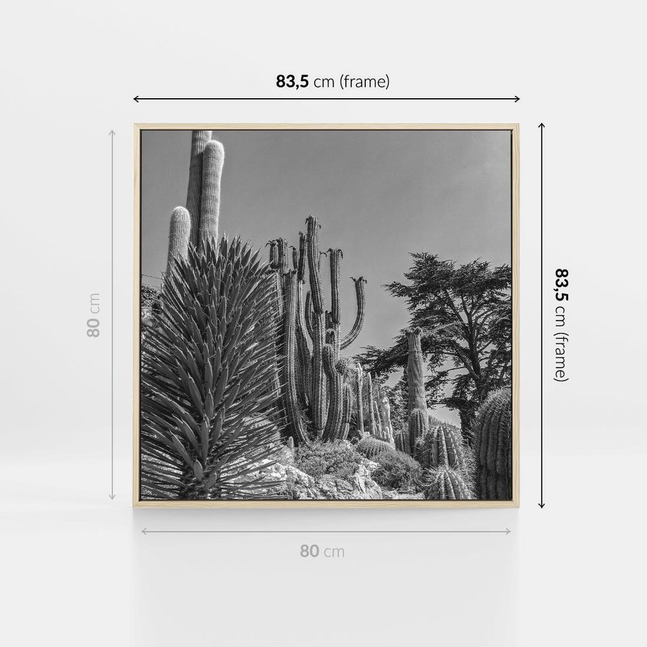 Obraz w ramie 80x80 - Pustynny Klimat - czarno białe zdjecie, pustynia - rama drewno