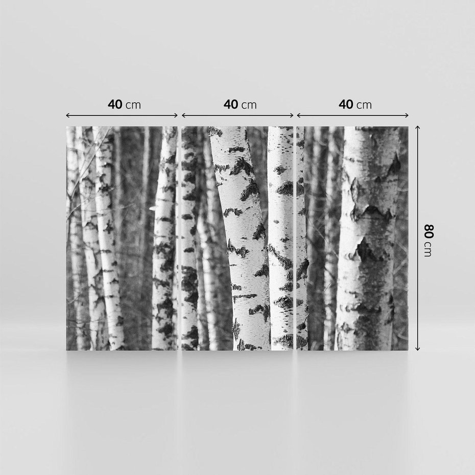 Obraz na płótnie 120x80 - Kontrast Monochromatyczny - brzozy, czarno