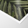 Plakat bez ramy 21x30 - W Liściach Ukryte - zdjęcie, fotografia