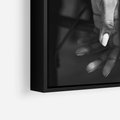 Obraz w ramie 50x50 - Splątane Uczucia - czarno biała fotografia, artystyczna - rama czarna