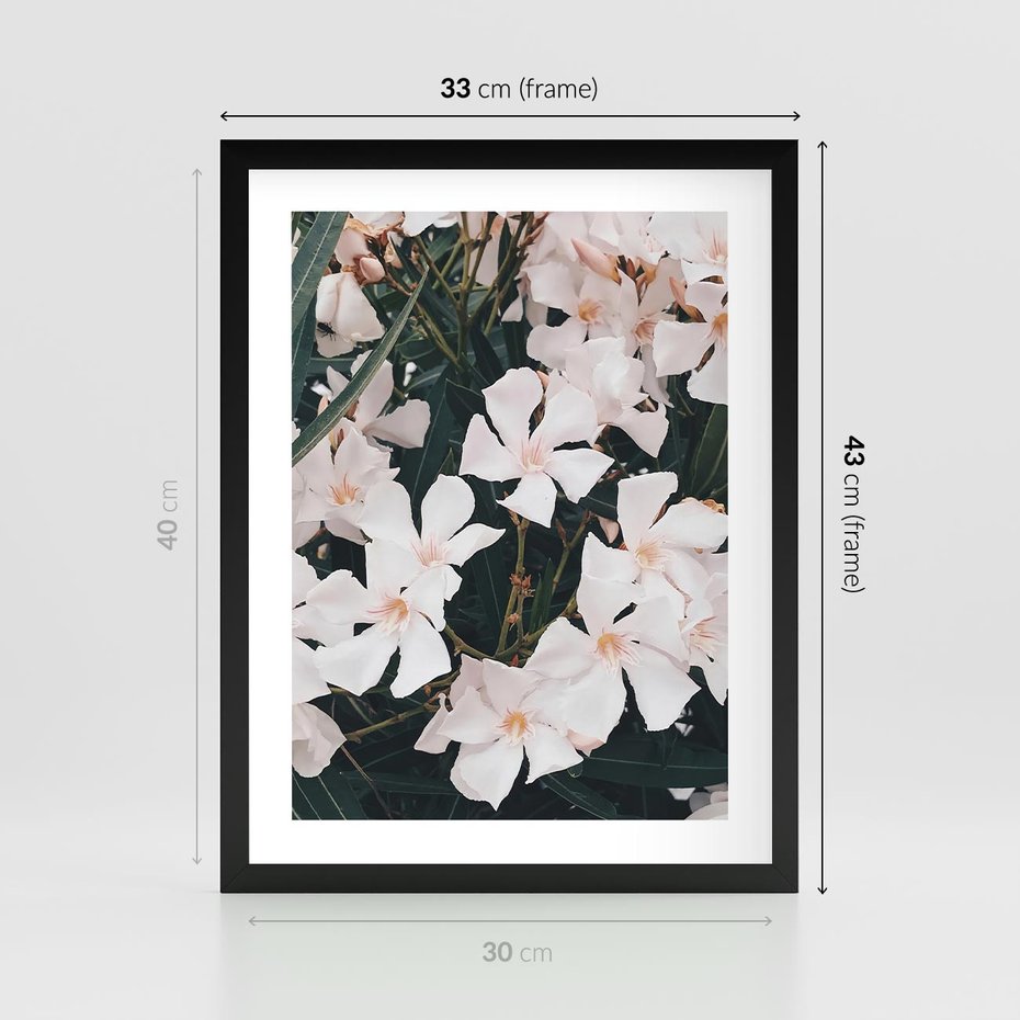 Plakat w ramie 30x40 - Egzotyczna Uroda - białe kwiaty, tropikalne kwiaty - rama czarna