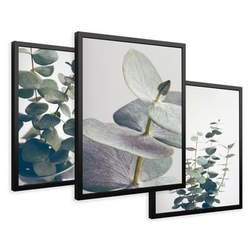 Zestaw obrazy w ramie 50x70 galeria - Eukaliptus, liście, skandynawski, boho - rama czarna