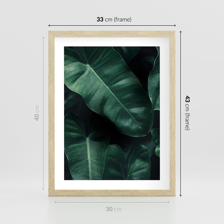 Plakat w ramie 30x40 - Liście Bananowca - minimalizm, zielone liście bananowca - rama drewno