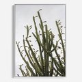 Obraz w ramie 50x70 - Ekskluzywna Roślinność - kaktusy, liście - rama biała