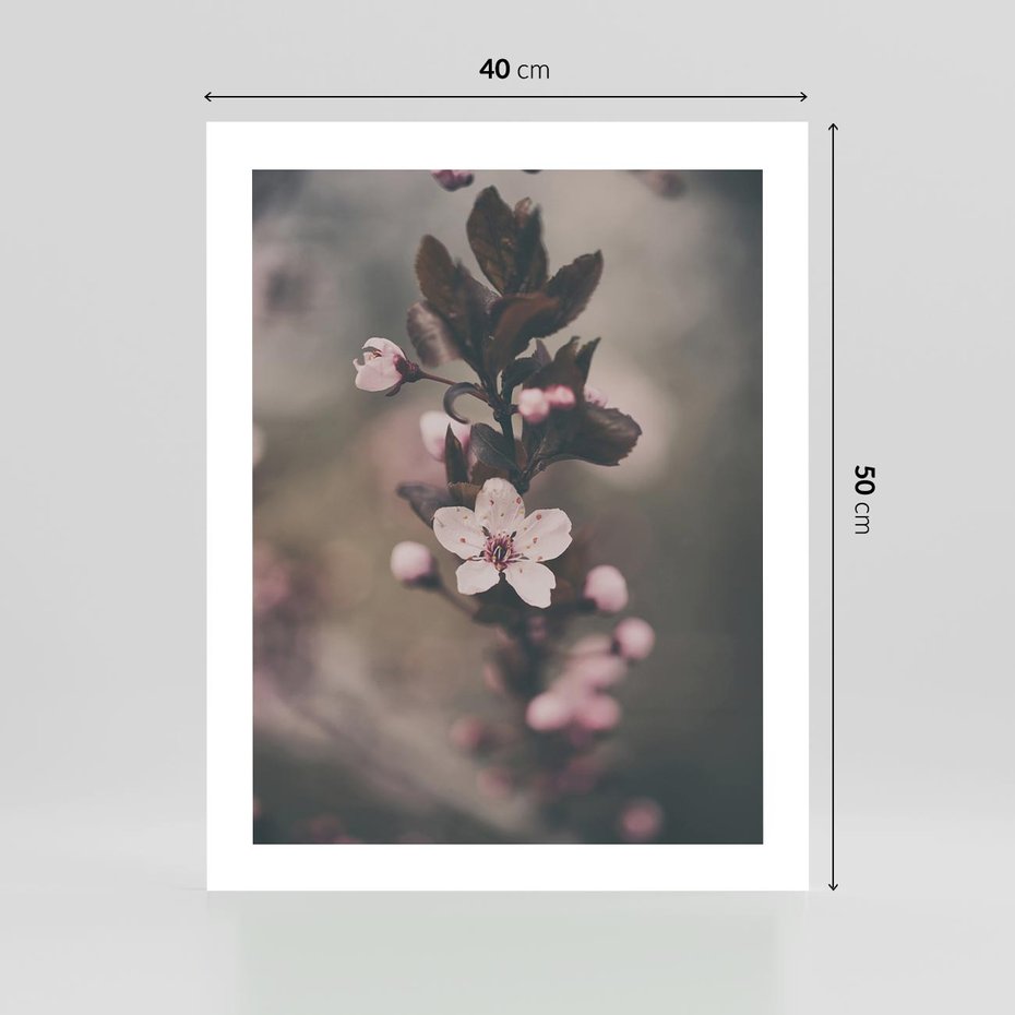 Plakat bez ramy 40x50 - Przemijający Urok - kwitnąca, wiśnia