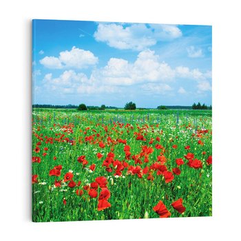 Obraz na płótnie 30x30 - Kolorowa łąka pełna maku - łąka, maki