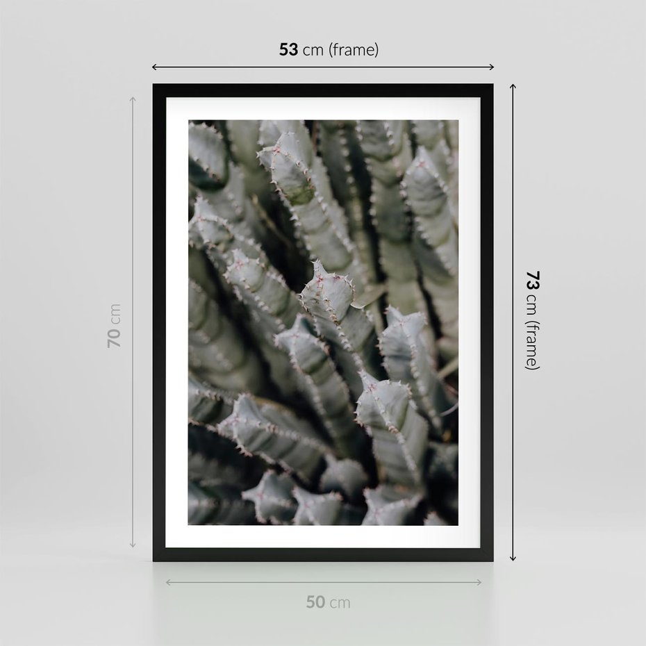 Plakat w ramie 50x70 - Oaza Natury - sukulenty, kaktusy - rama czarna