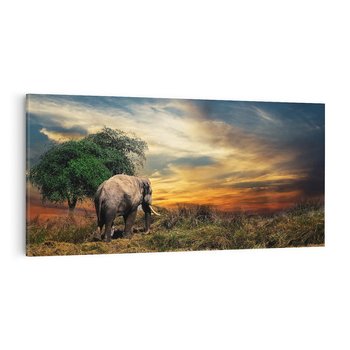 Obraz na płótnie 120x60 - Potęga słonia na afrykańskiej sawannie - słoń, sawanna