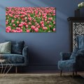 Obraz na płótnie 100x50 - Tulipanowe Elegancja - tulipany, kwiat