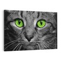Obraz na płótnie 70x50 - Przestreń nautra doznania - kot, kotek