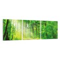 Obraz na płótnie 120x40 - Urok lasu na drodze - las, drzewa