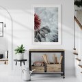 Plakat bez ramy 30x40 - Makro świat dmuchawca - dmuchawiec, makro