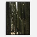 Obraz w ramie 70x100 - Wyjątkowy Klimat Boho - kaktusy, pustynia - rama czarna
