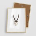 Plakat w ramie 50x70 - Minimalistyczne Poroże Jelenia - poroże jelenia na ścianie, minimalizm - rama drewno