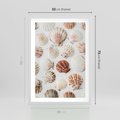 Plakat w ramie 50x70 - Morska Delikatność: Muszelki na Białym Tle - kompozycja, morskie muszelki na białym tle - rama biała