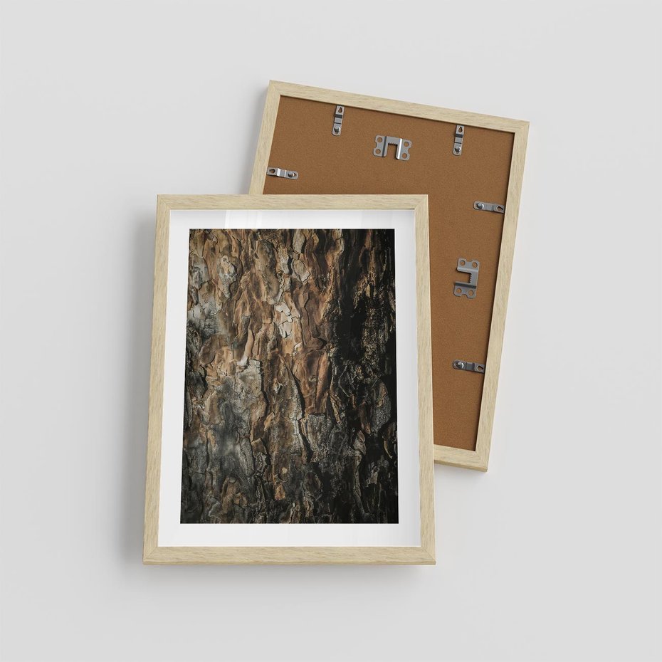 Plakat w ramie 30x40 - Tekstura Drewna: Zbliżenie - zbliżenie na pień drzewa, tekstura - rama drewno