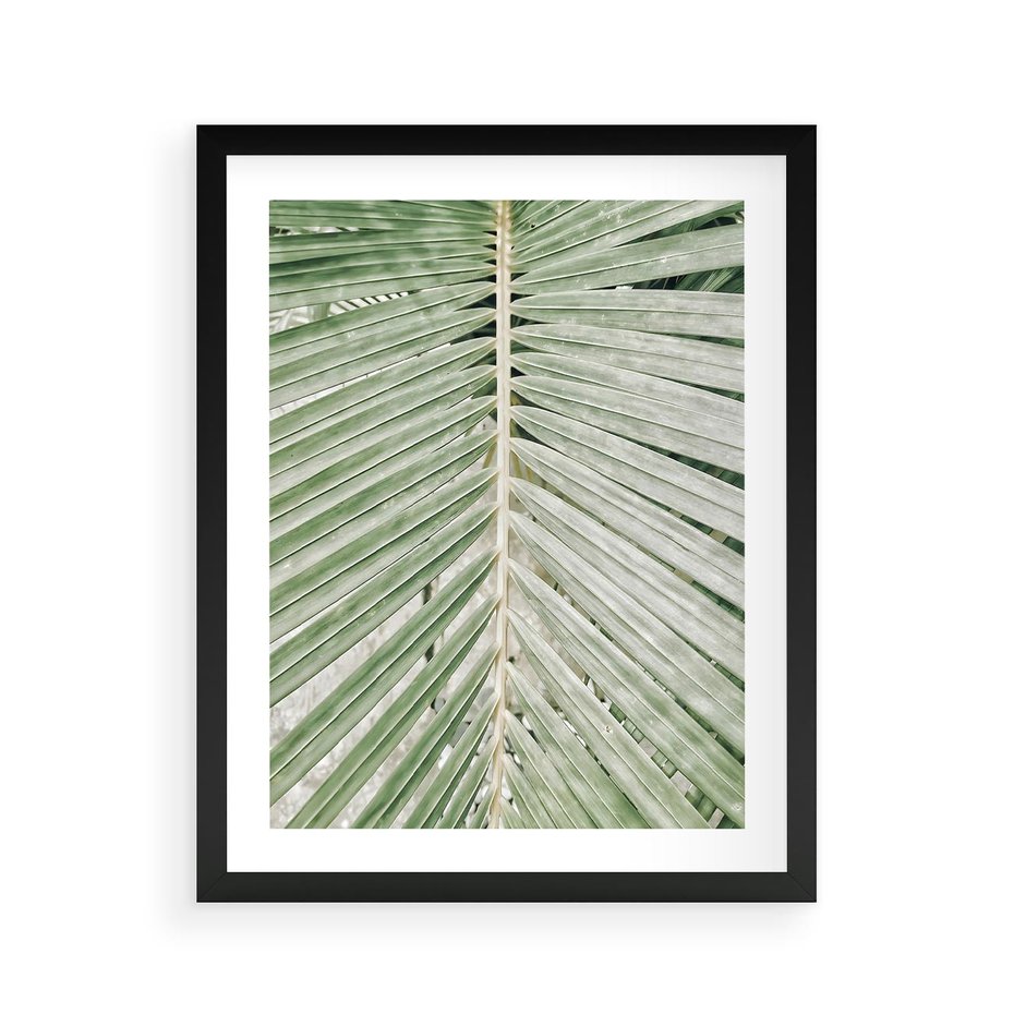 Plakat w ramie 40x50 - Jasna Zieleń Palmy - liść palmy, zbliżenie - rama czarna