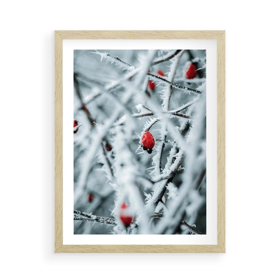 Plakat w ramie 50x70 - Zima na Gałęziach - zima, oszronione gałęzie - rama drewno