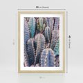 Plakat w ramie 30x40 - Kaktusowy Raj - kaktusy, dużo kaktusów - rama drewno