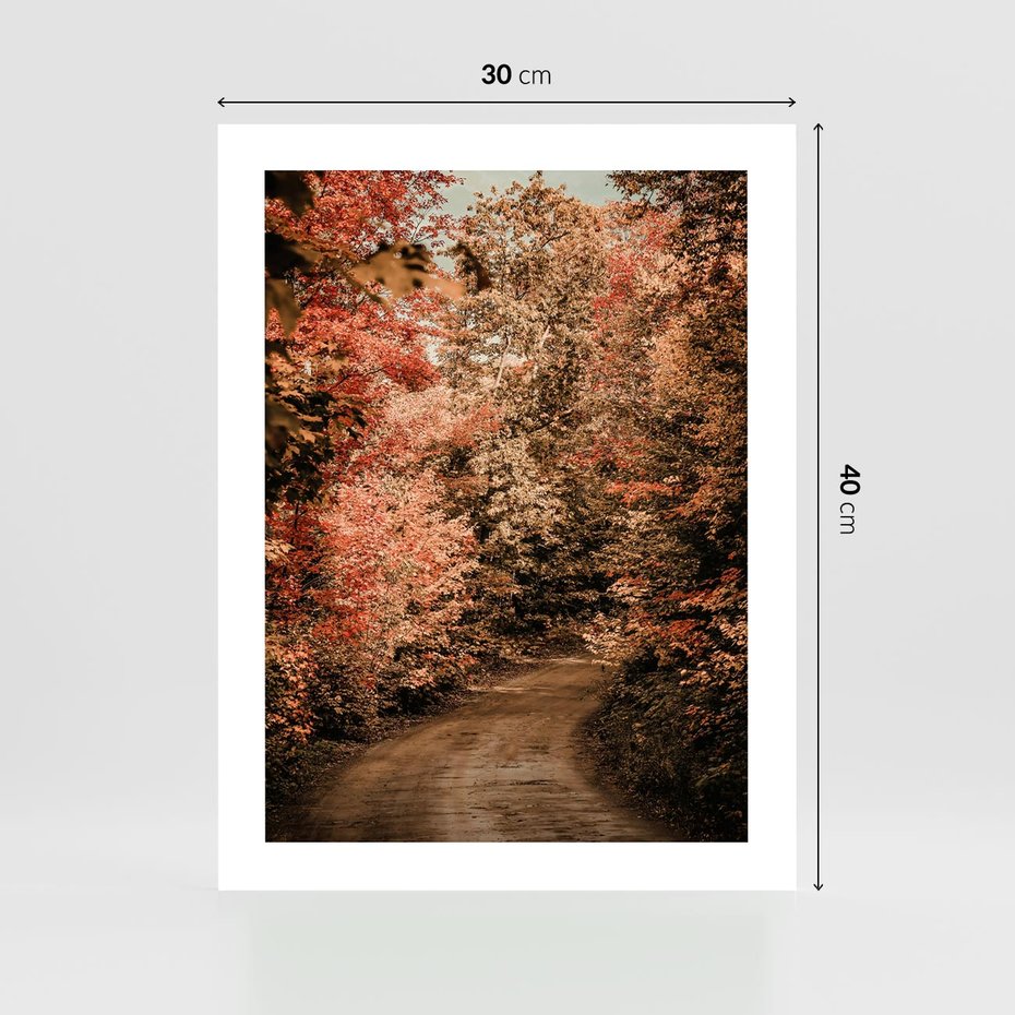 Plakat bez ramy 30x40 - Obraz przedstawia jesienne drzewa i czerwone liście na ścieżce w lesie. Ta sceneria doskonale oddaje urok i kolorystykę jesieni w lesie. - las, jesień
