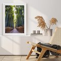 Plakat bez ramy 30x40 - Urokliwa dróżka w lesie - las, dróżka