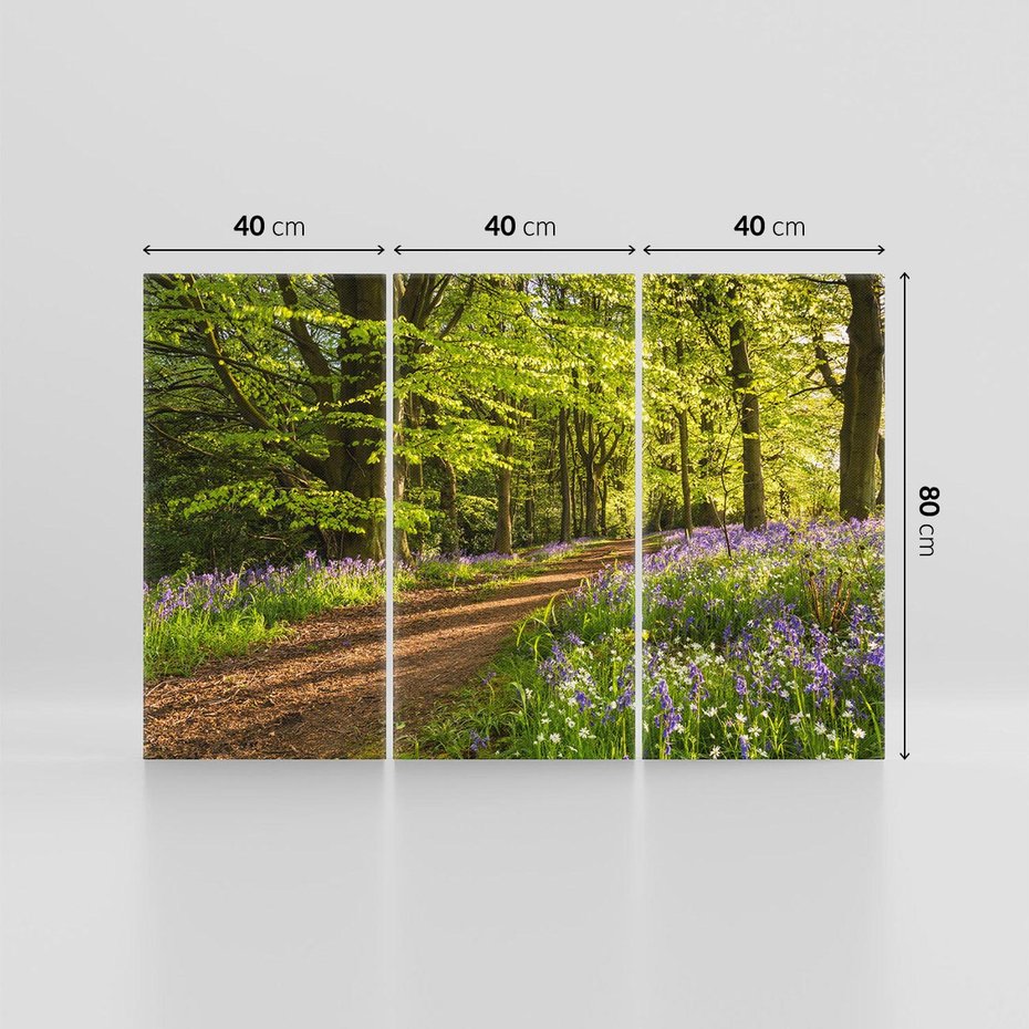 Obraz na płótnie 120x80 - Magia lasu: Drzewa w tajemniczej otoczce - las, drzewa