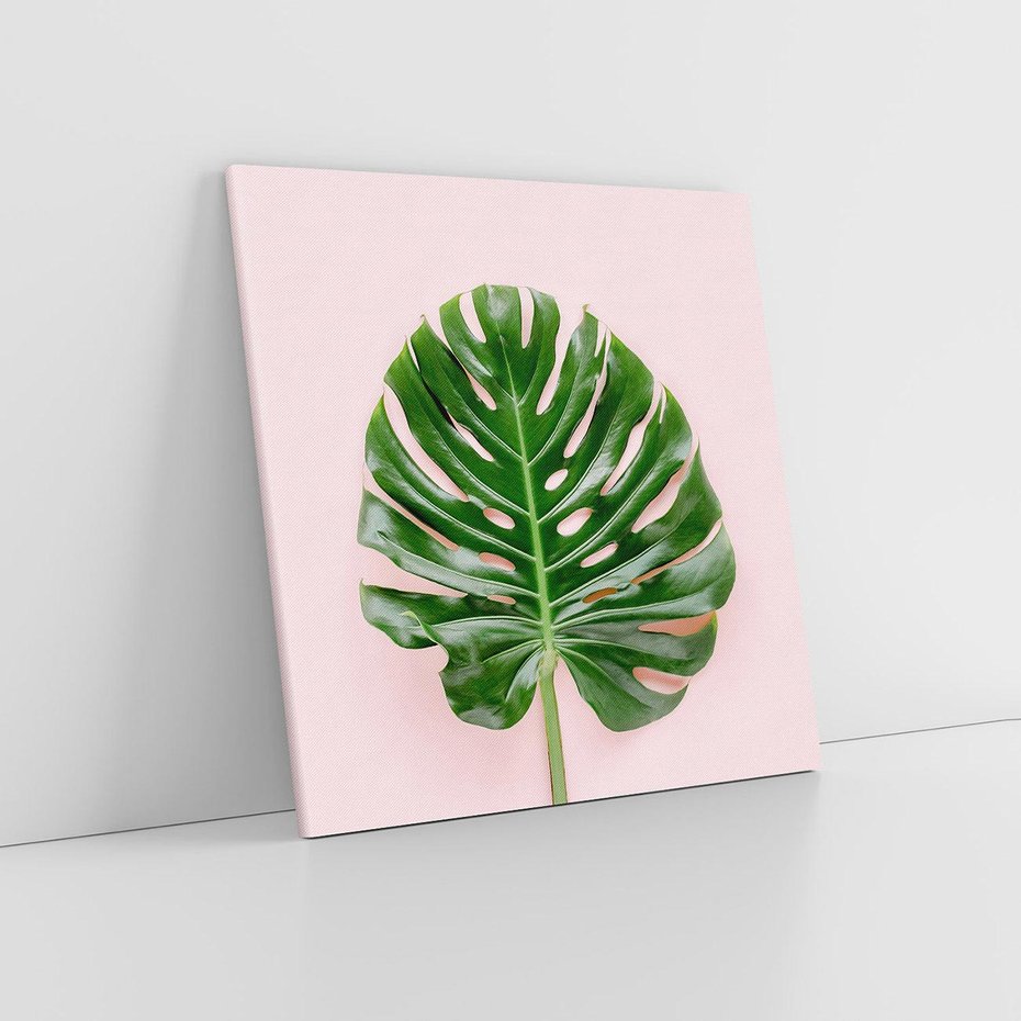 Obraz na płótnie 30x30 - Egzotyczna Roślinność - liście, monstera