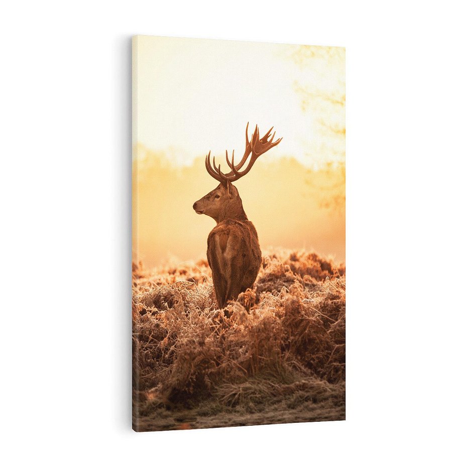 Obraz na płótnie 50x70 - Magia jesiennego słońca: Jeleń w promieniach - jeleń, jesień