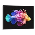 Obraz w ramie 100x70 - Tęczowa Piękność - kolorowa tęczowa ryba, mocny akcent na czarnym tle - rama czarna