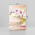 Obraz na płótnie 70x100 - Elegancja orchidei - orchidea, kwiaty