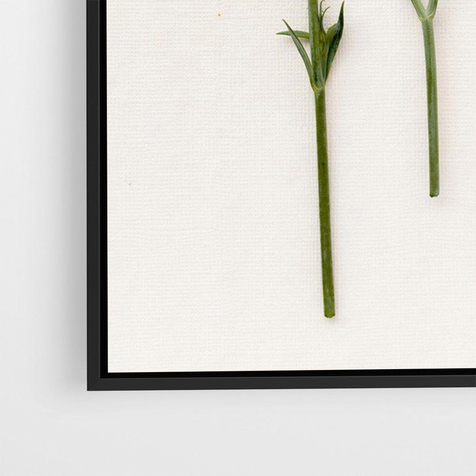 Obraz w ramie 70x100 - Białe kwiatowe uniesienia - białe, kwiaty - rama czarna