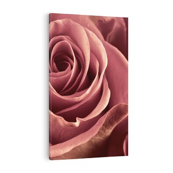 Obraz na płótnie 50x70 - Romantyczna Róż - róża, kwiat