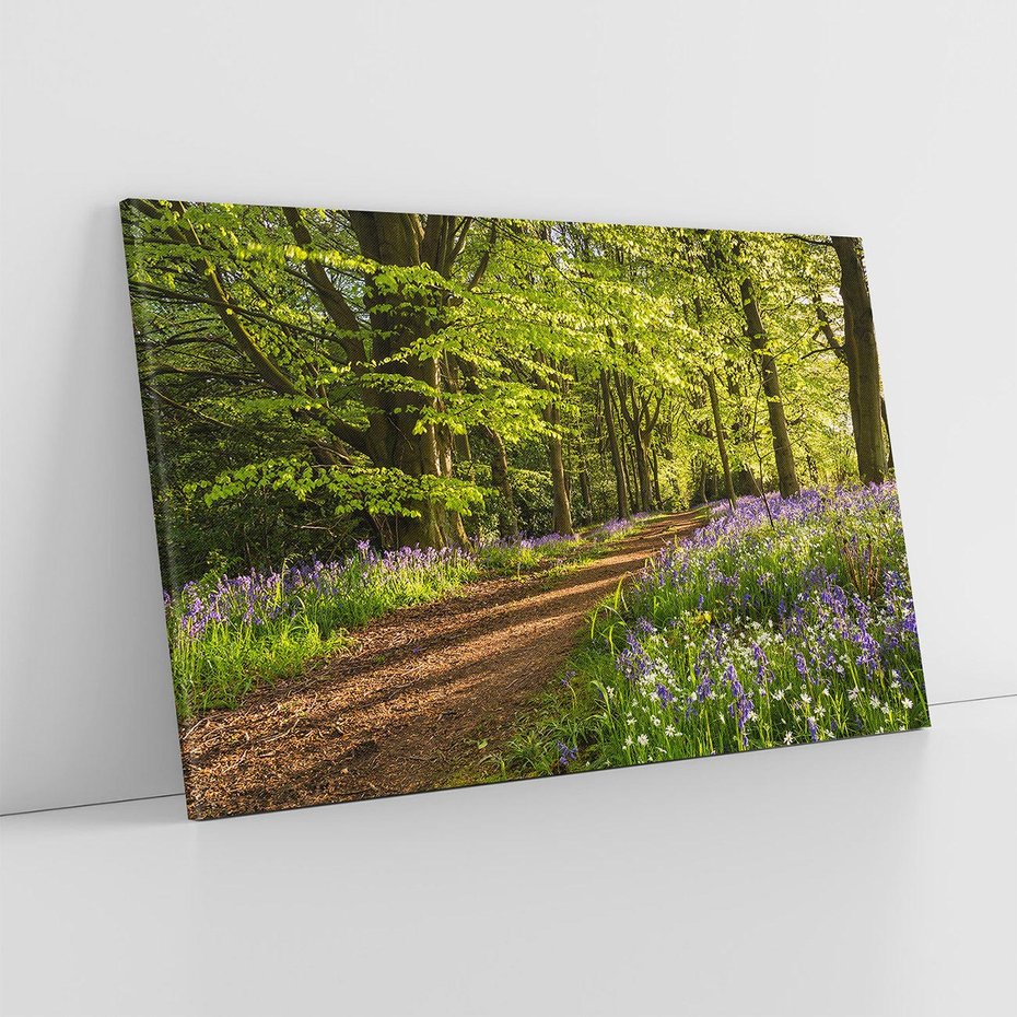 Obraz na płótnie 70x50 - Magia lasu: Drzewa w tajemniczej otoczce - las, drzewa