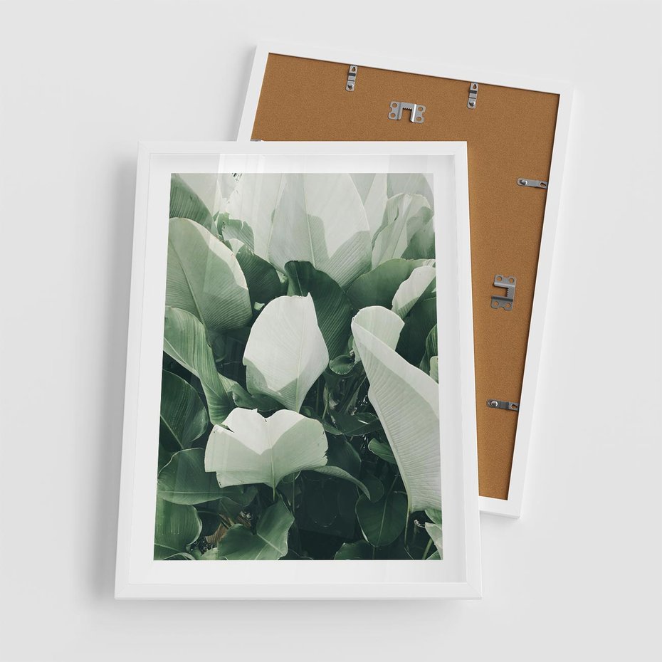 Plakat w ramie 50x70 - Zgaszona Uroda Natury - zielone liście, zgaszona zieleń - rama biała