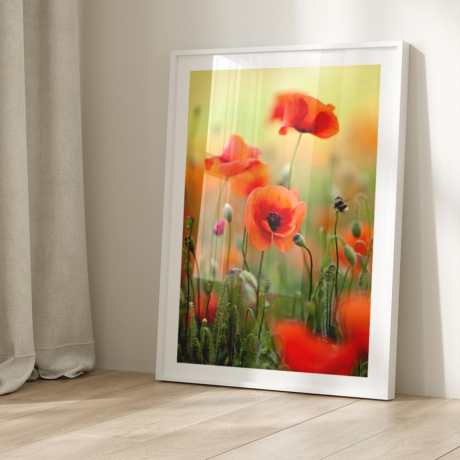 Plakat bez ramy 30x40 - Makowa Pasja - maki, kwiaty