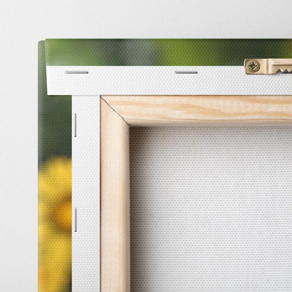 Obraz na płótnie 120x80 - Kwiatowa łąka - kwiaty, łąka