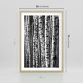 Plakat w ramie 50x70 - Kontrast Monochromatyczny - brzozy, czarno - rama drewno